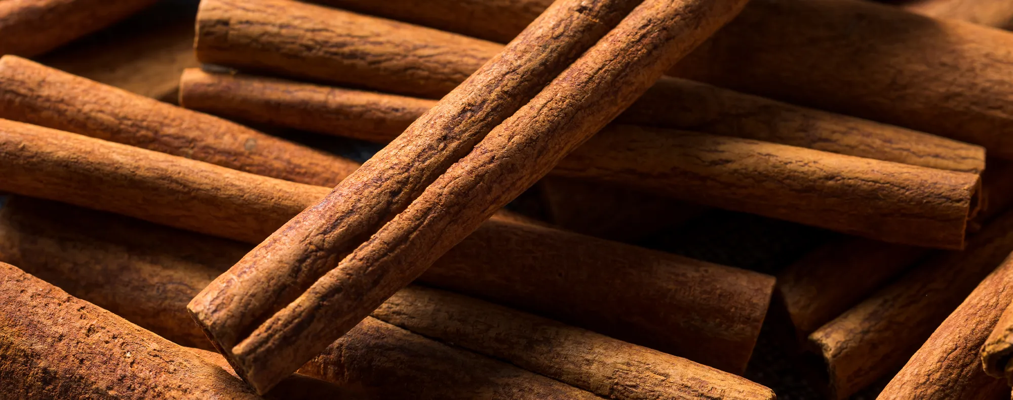 Banner-Over-Silvo-11