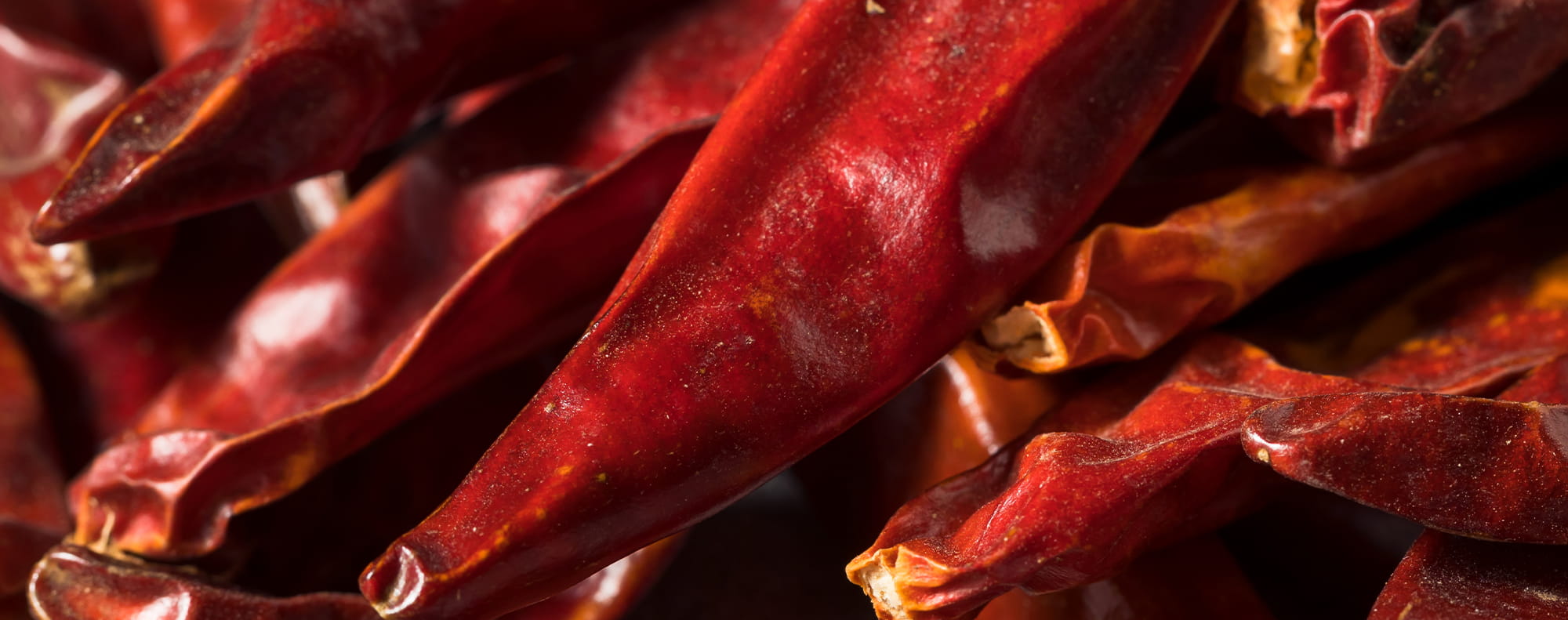 Banner-Over-Silvo-12