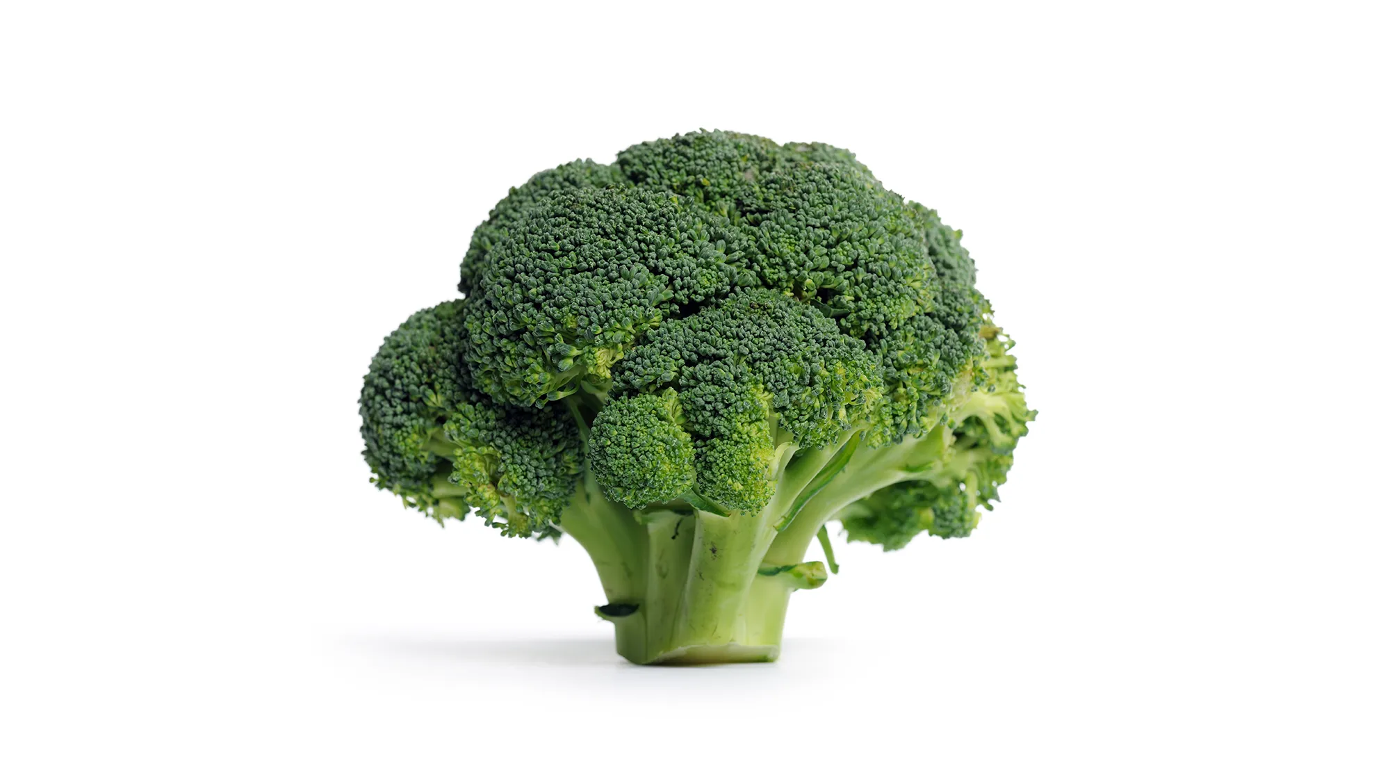 Silvo-broccoli-2000x1125