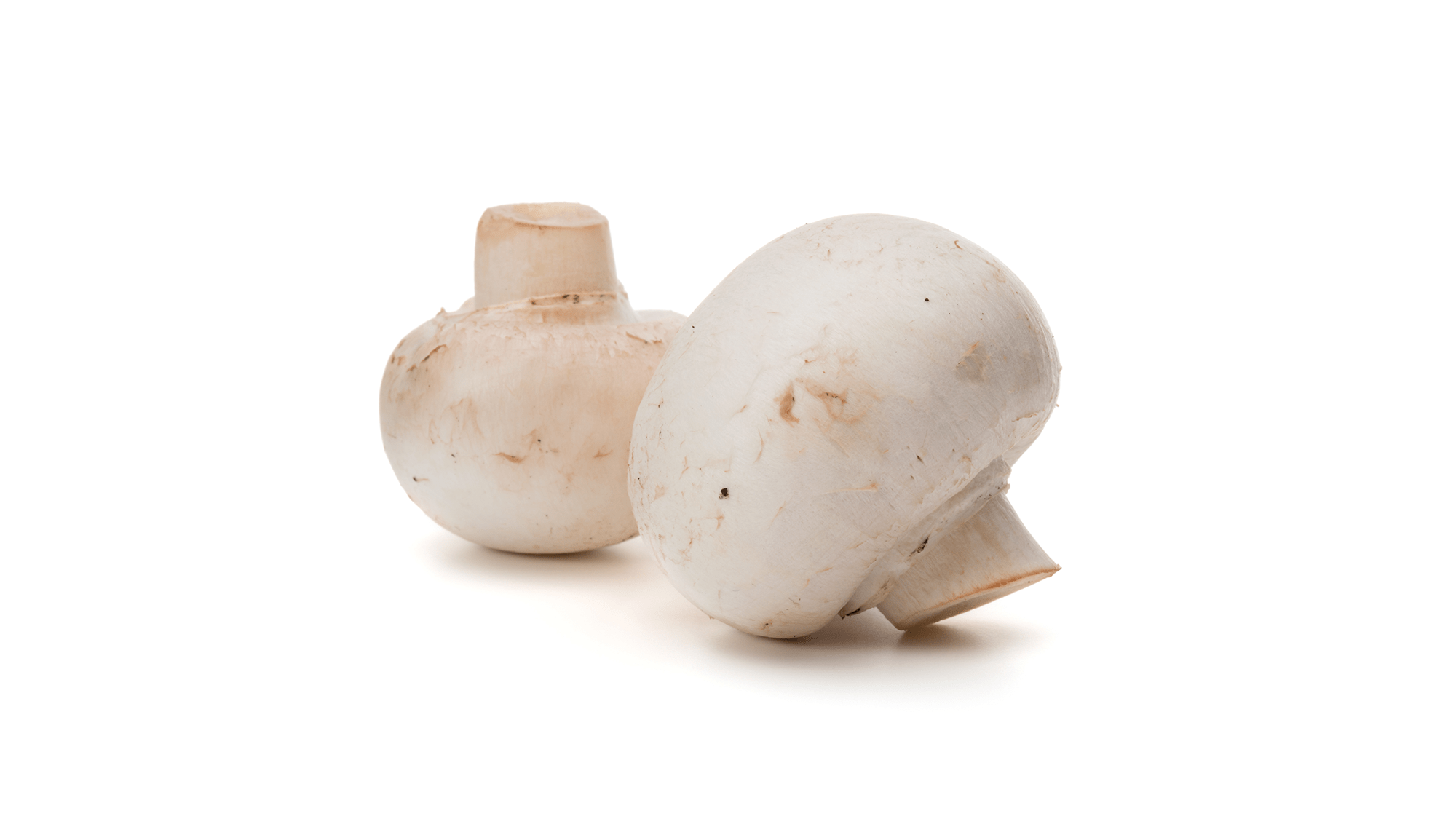 Kruiden bij champignons 