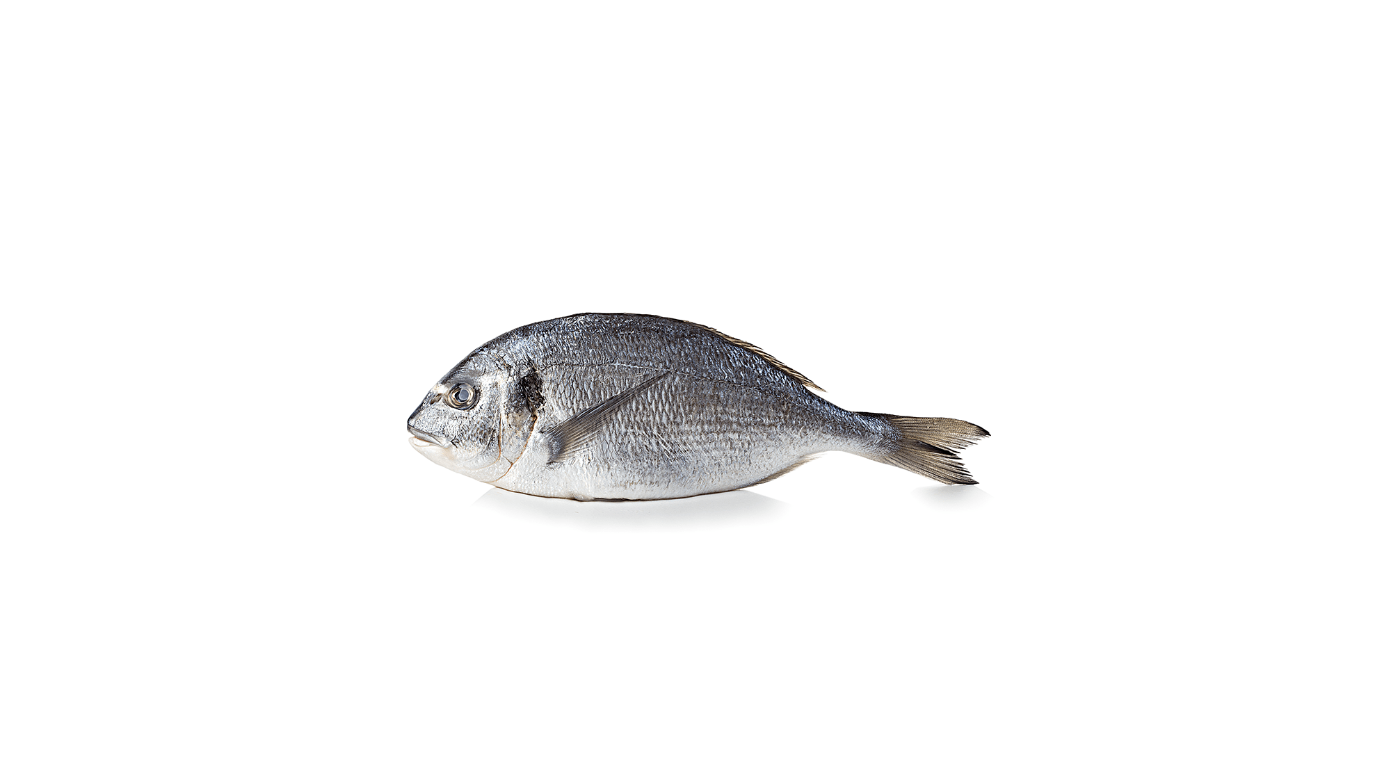 Hoe kruid je dorade?