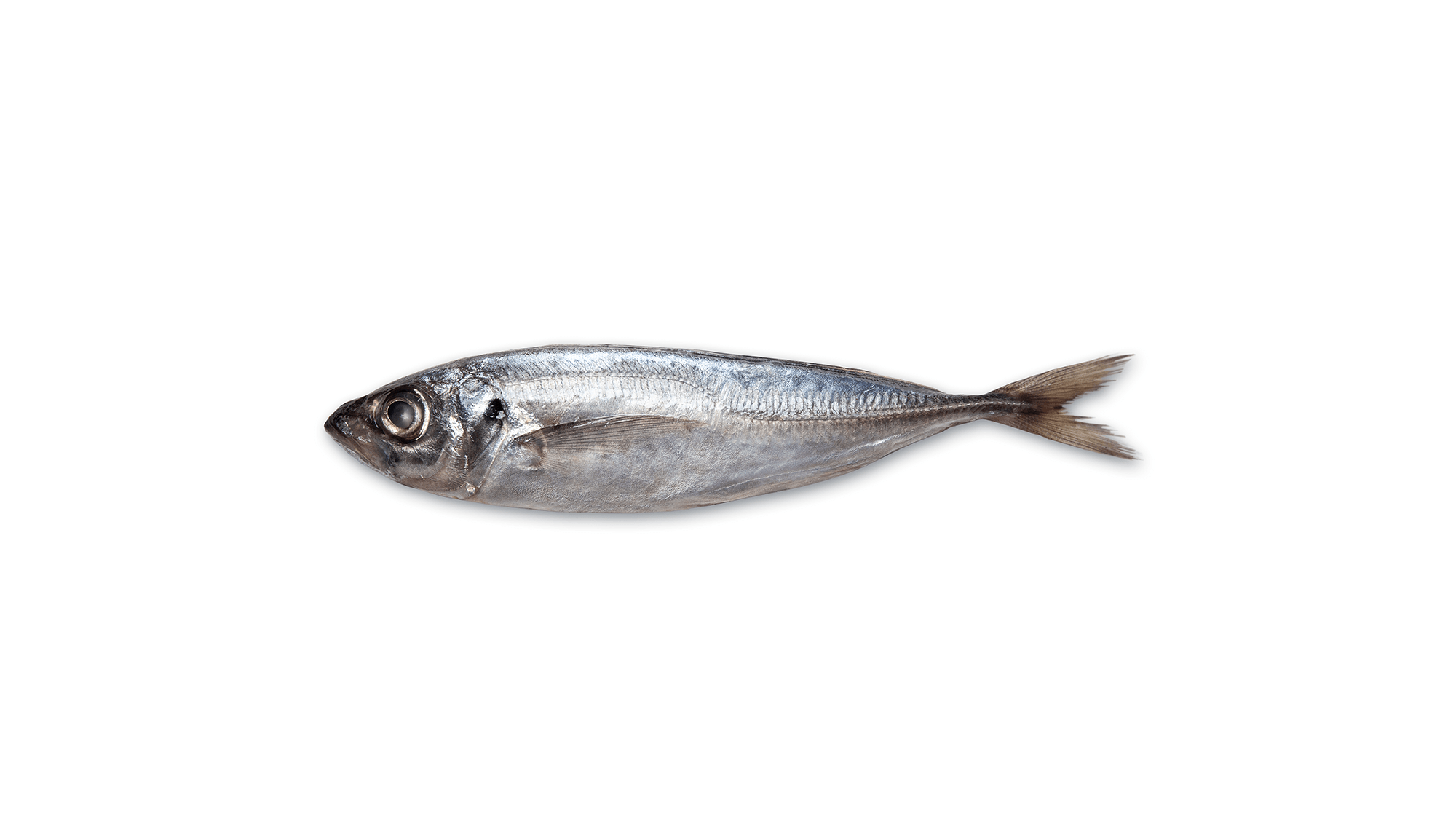 Hoe kruid je een aardappel?