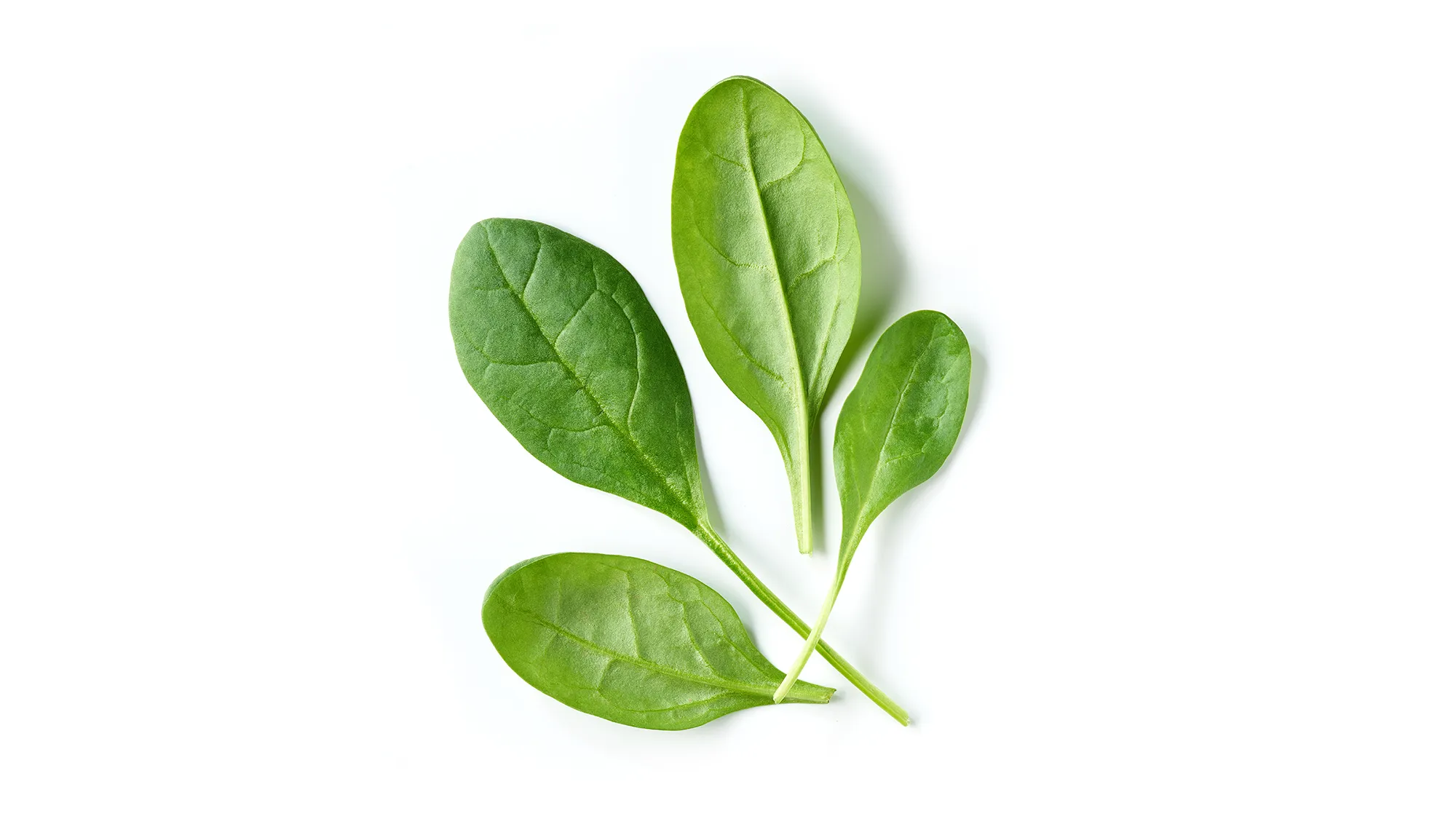 Silvo-spinazie-2000x1125