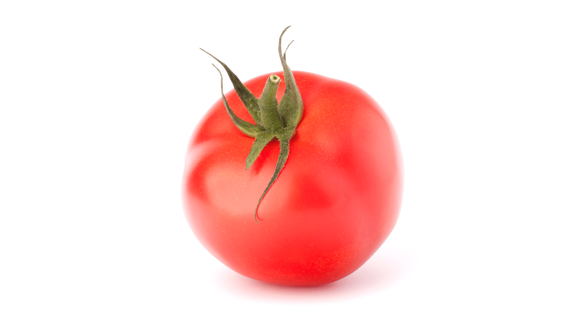 Silvo-tomaat-2000x1125