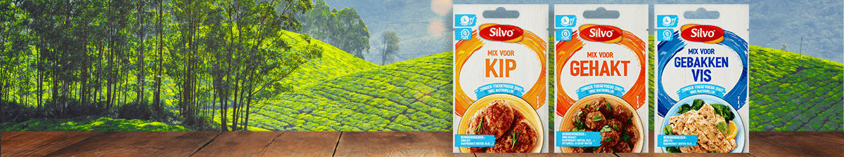 Vrij van zout, vol van smaak! | Silvo