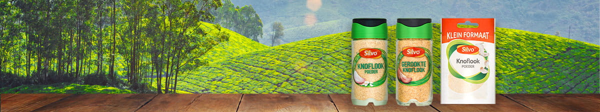 Banner-KNOFLOOK-Silvo-MR-26-02-2021