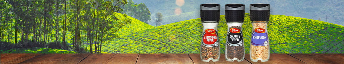 Banner-Molens-Silvo-MR-03-03-2021