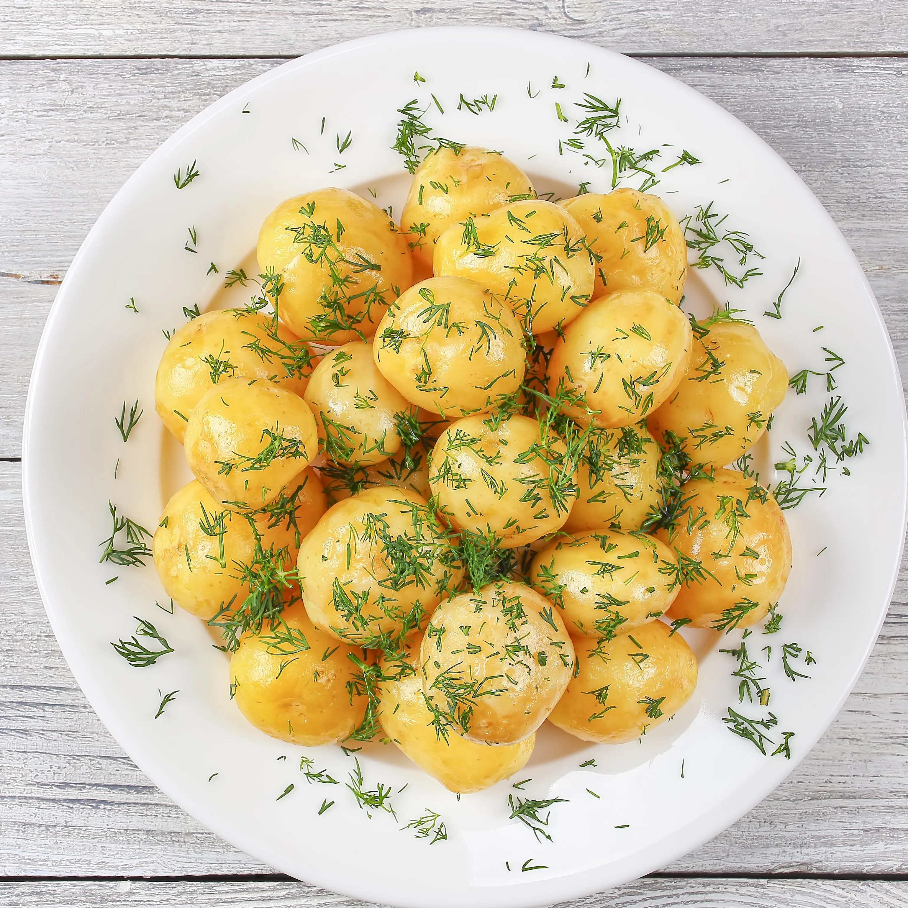 krieltjes-petercelie-800x800