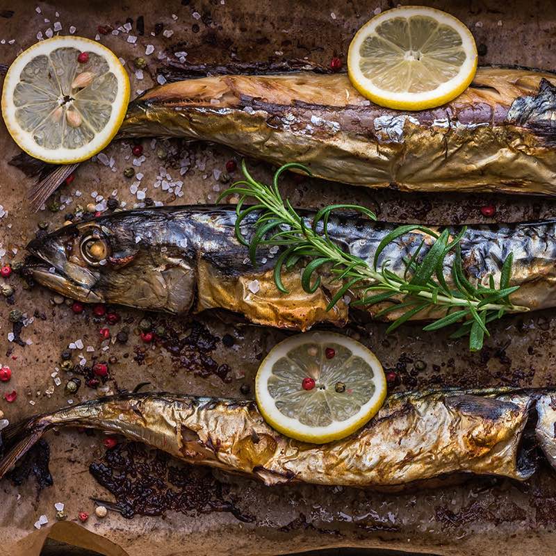 Gegratineerde makreelfilet